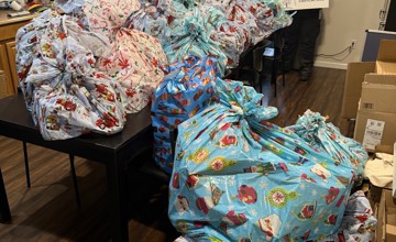 Electronic Monitoring