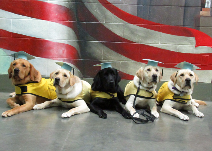 Blackwater River Correctional and Rehabilitation Facility Service Dogs Program