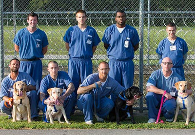 Unique Dog Training Program at Graceville