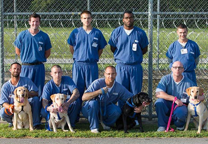 Unique Dog Training Program at Graceville