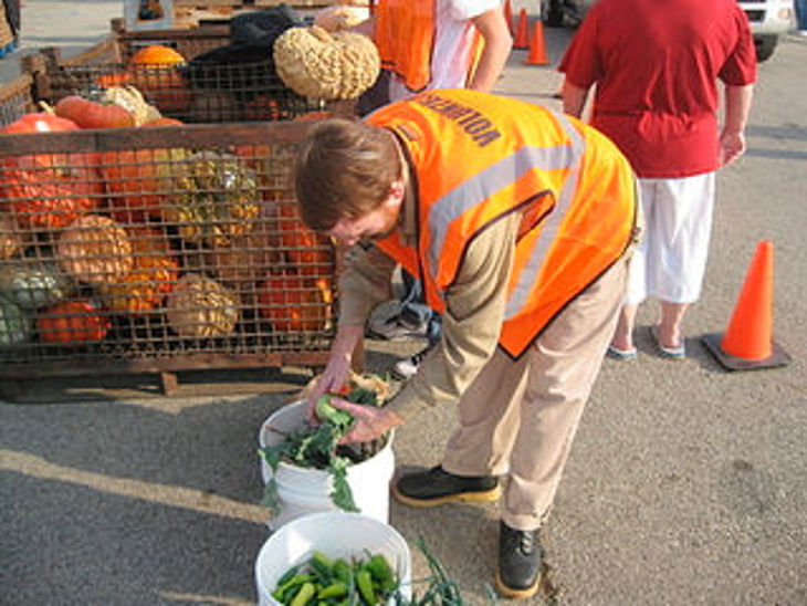 Inmates Develop Work Ethic, Help Henry County
